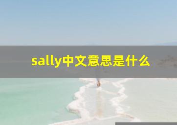 sally中文意思是什么