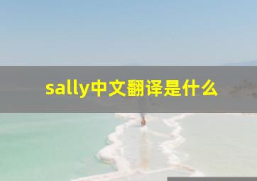 sally中文翻译是什么