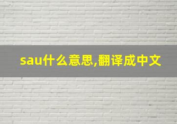 sau什么意思,翻译成中文