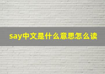 say中文是什么意思怎么读