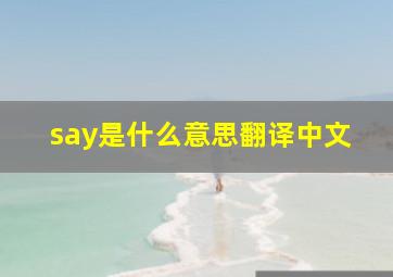 say是什么意思翻译中文