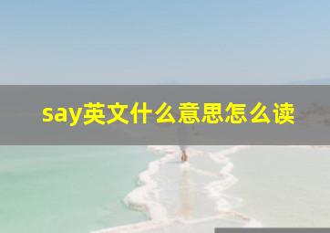 say英文什么意思怎么读