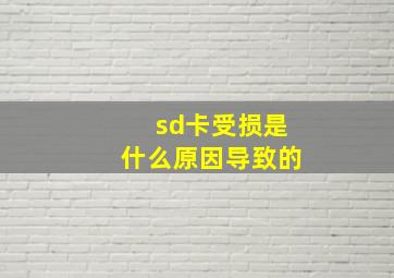 sd卡受损是什么原因导致的