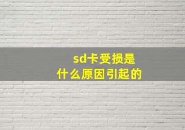 sd卡受损是什么原因引起的