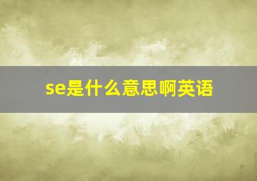 se是什么意思啊英语