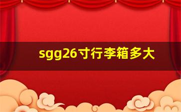 sgg26寸行李箱多大