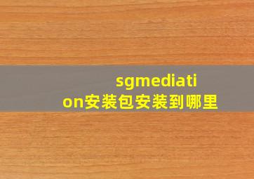 sgmediation安装包安装到哪里