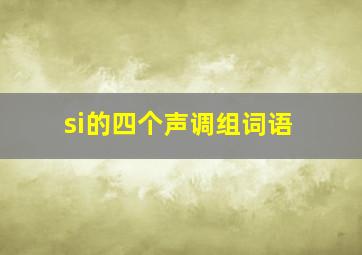 si的四个声调组词语