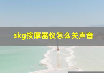 skg按摩器仪怎么关声音