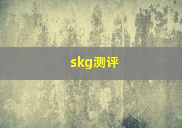 skg测评