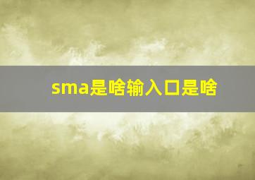 sma是啥输入口是啥