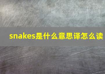 snakes是什么意思译怎么读