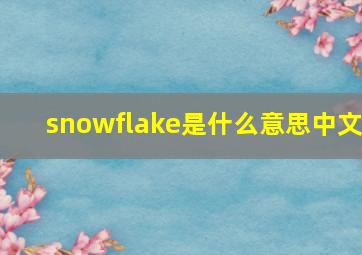 snowflake是什么意思中文