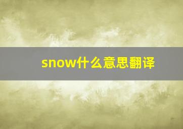 snow什么意思翻译