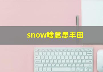 snow啥意思丰田