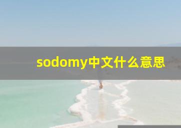 sodomy中文什么意思