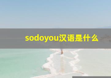 sodoyou汉语是什么