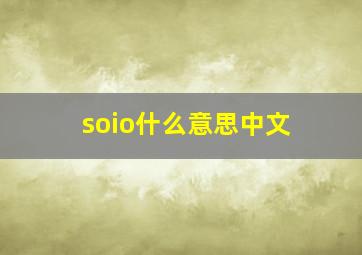 soio什么意思中文