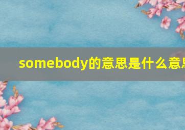 somebody的意思是什么意思