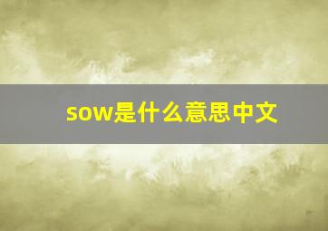 sow是什么意思中文