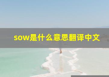 sow是什么意思翻译中文