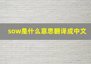 sow是什么意思翻译成中文