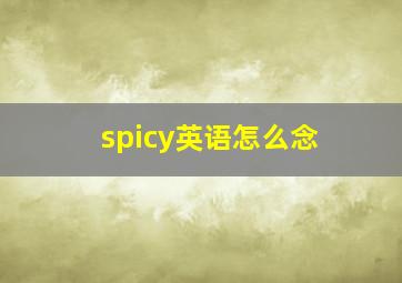 spicy英语怎么念