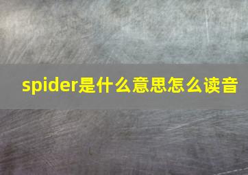 spider是什么意思怎么读音