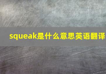 squeak是什么意思英语翻译