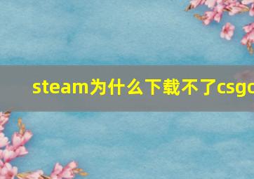 steam为什么下载不了csgo