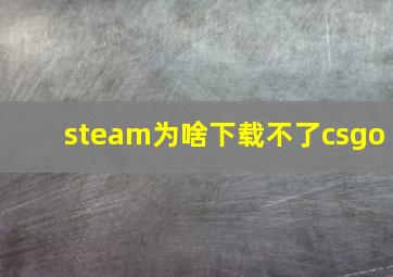 steam为啥下载不了csgo