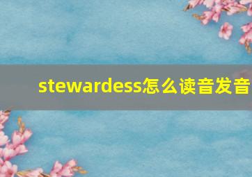 stewardess怎么读音发音