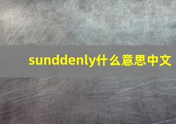 sunddenly什么意思中文