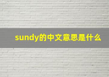 sundy的中文意思是什么