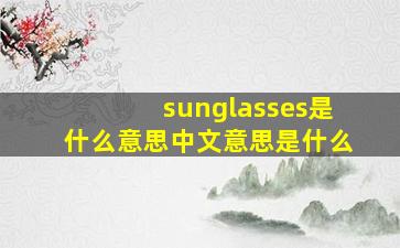 sunglasses是什么意思中文意思是什么