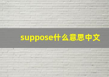 suppose什么意思中文