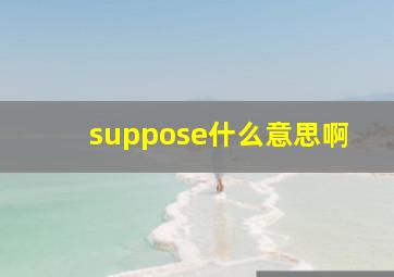 suppose什么意思啊