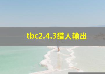 tbc2.4.3猎人输出