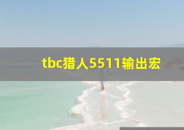 tbc猎人5511输出宏