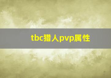 tbc猎人pvp属性