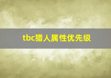 tbc猎人属性优先级