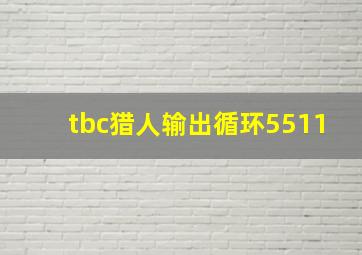 tbc猎人输出循环5511