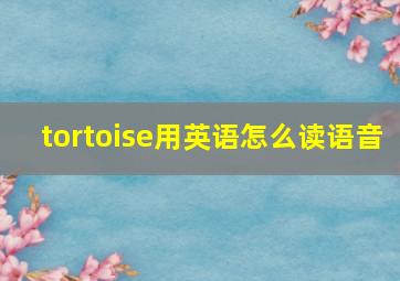 tortoise用英语怎么读语音