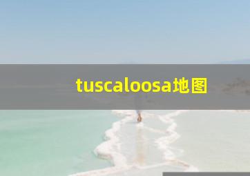 tuscaloosa地图