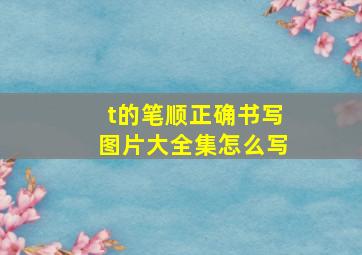 t的笔顺正确书写图片大全集怎么写