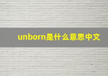 unborn是什么意思中文