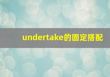 undertake的固定搭配