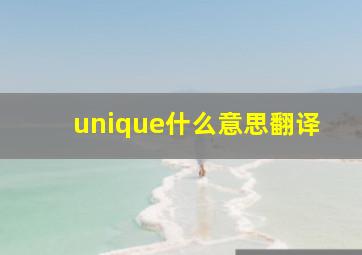 unique什么意思翻译