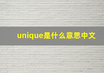 unique是什么意思中文