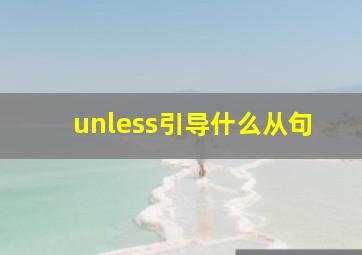 unless引导什么从句